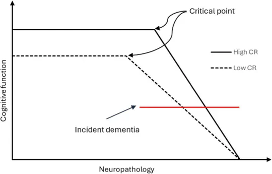 The moderating effect of cognitive reserve on cognitive aging 